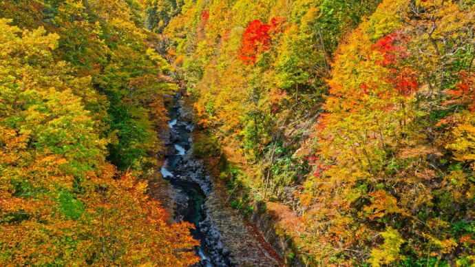 東北から信州への紅葉旅 4 中津川渓谷(福島県耶麻郡北塩原村)