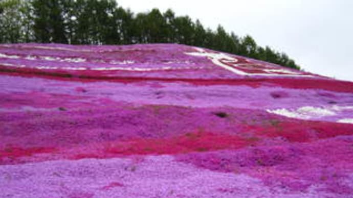 北海道・旅の2日目は桜色ファンタジー