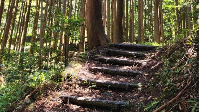 風邪は治すものではなく、経過させるもの