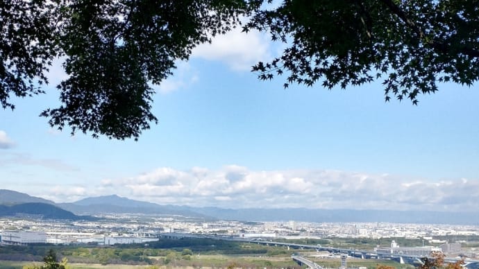 男山からの眺め　写真