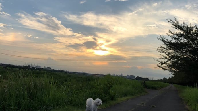 朝5時半散歩🚶♂️