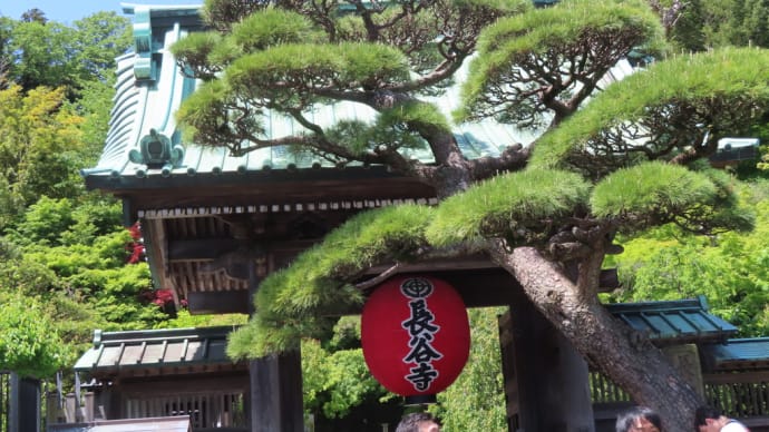 横浜・鎌倉の旅 長谷寺から由比ガ浜