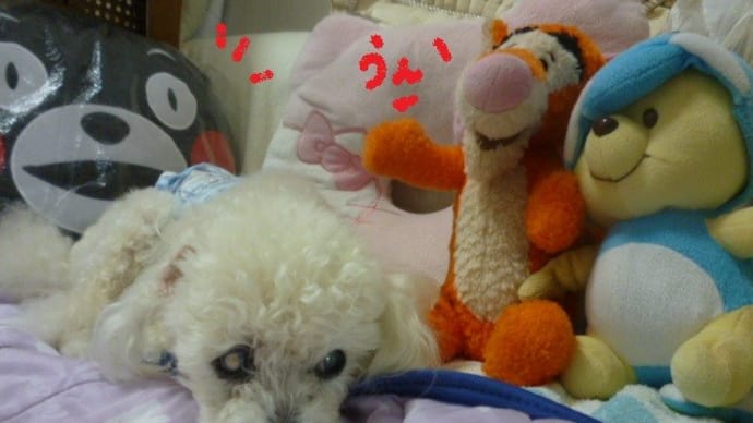 今日もどんより梅雨曇りなの? (-_-)ウーム 老犬ラスさんの月命日…