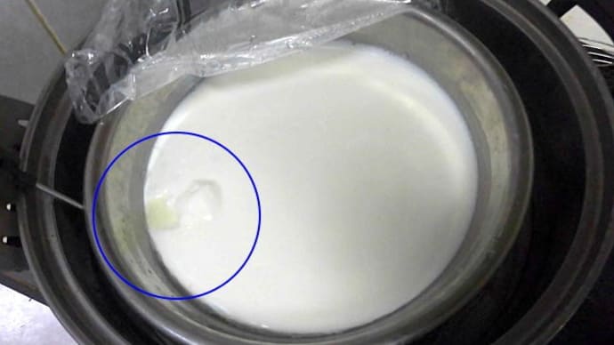 チーズ作り、道半ば。その3、試作2回目、失敗