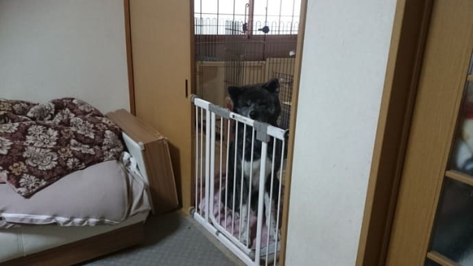 破壊された椅子の張り替えできました♪