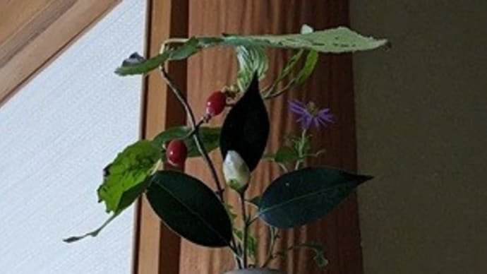 2023.11.18のお稽古(七事式)