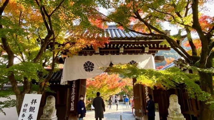 そや、京都にも行っとこ~永観堂・南禅寺編