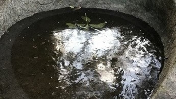 手水鉢が凍ってる朝@高松