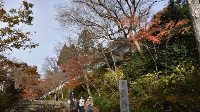 もみじ狩り 京都編3日目 京都市左京区大原来迎院町 天台宗京都大原三千院【4】-1 桜の馬場、御殿門
