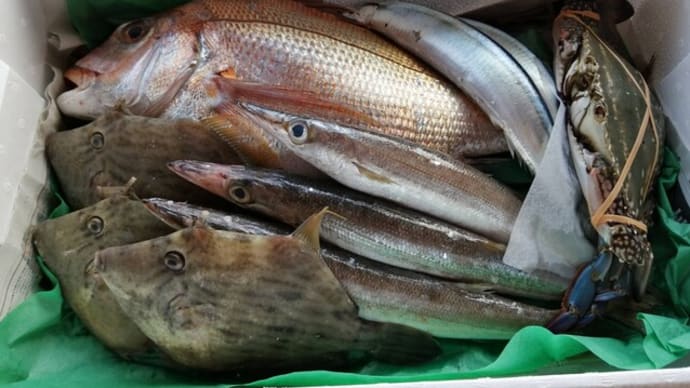 おかやま市場から魚が届きました