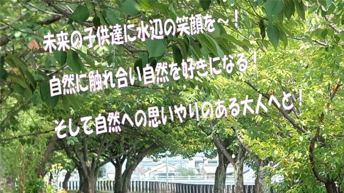 小畑川クリーン作戦🐟長岡京市・・・朝から激熱の中多くの方がゴミ拾い頑張っていました。
