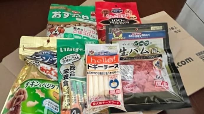 ココロちゃんが熱中症🥵