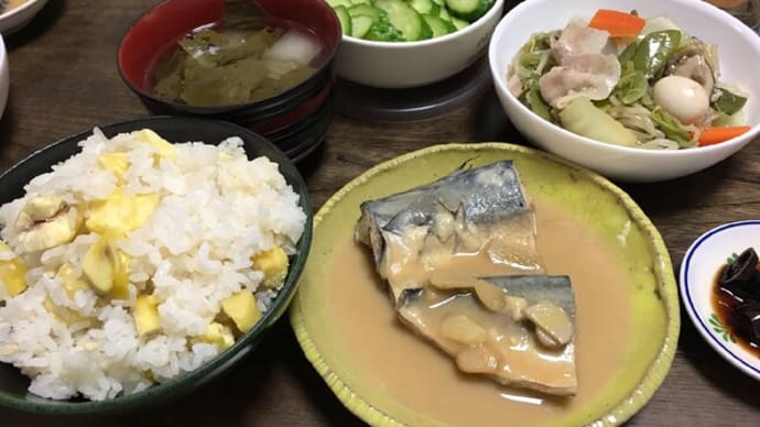 白菜の味見