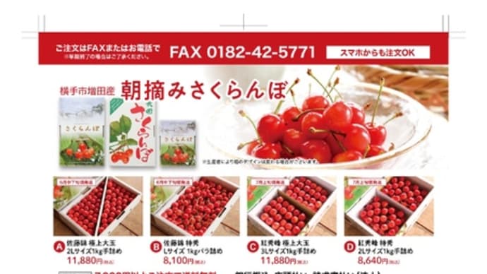 さくらんぼ、今年の作柄は心配です