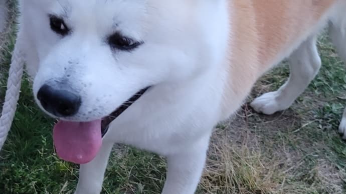 弦ちゃんいらっしゃい☺️💖