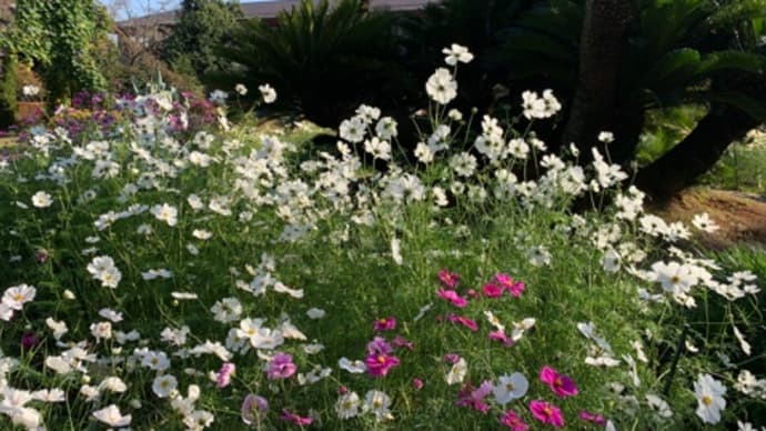京都府立植物園