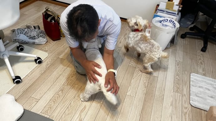 好きが止まらない
