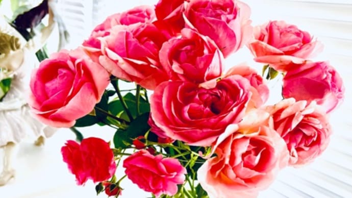 薔薇
