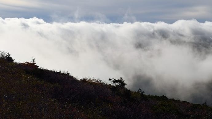 霧の蔵王山