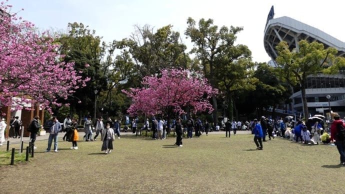 #9332 横浜公園で😄