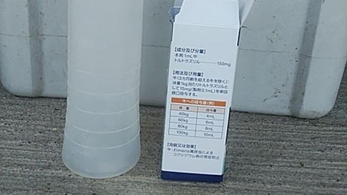 猛暑日連日の8日。生後約1カ月のももちゃん子コクシ投薬、たかももちゃんの種付け