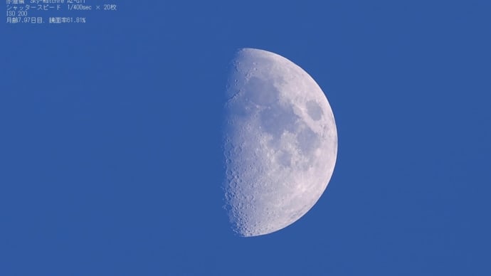 24/03/19 昨日、強風の中に逢ったお月様! 月齢8日目でした!