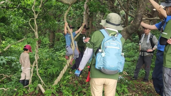 3高地で遊んだ定期登山 &森山うんちく⑤