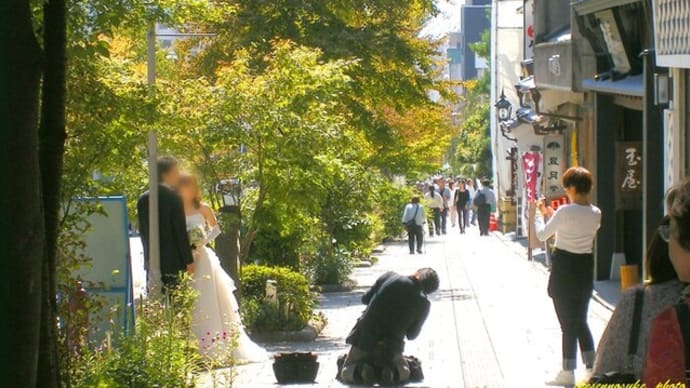 こんな日常に戻れれば……!