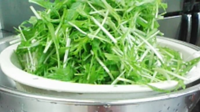 水菜と鯨