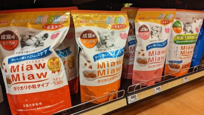 猫のごはん