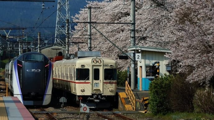 惰性な2216日目 キ〇ガイ