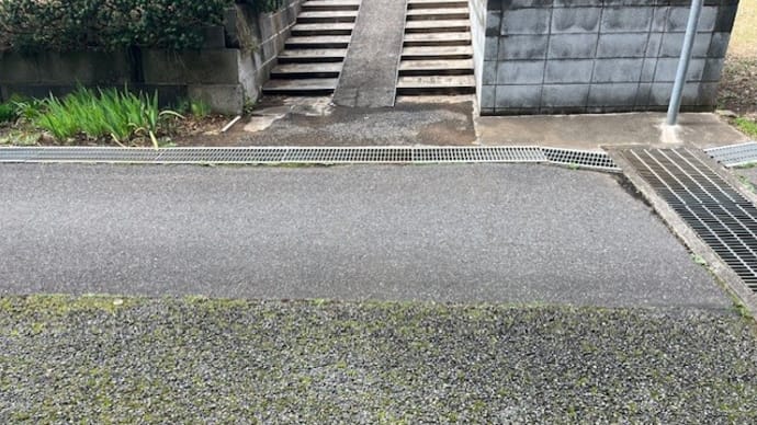 現場調査の一コマ