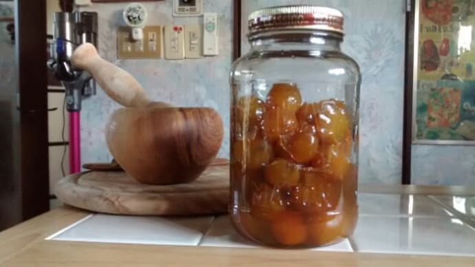 風邪の季節ですね、我が家では「金柑の甘露煮」が常備薬です。