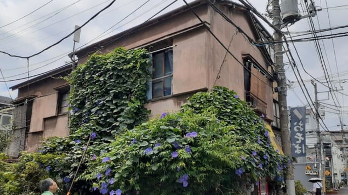 朝顔に包まれそうな家は文房具屋さん