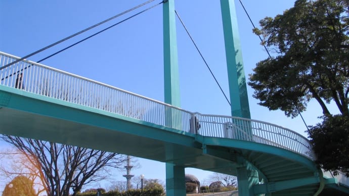 野毛山公園でPowerShot G5の使い勝手を試してみた