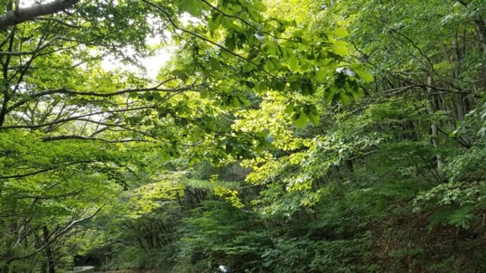 知恵頂きました