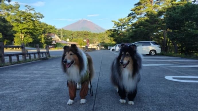 デジタル化に取り残された村?