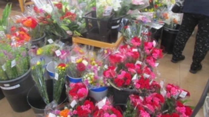 ジンジャーの花とマクワウリを買う