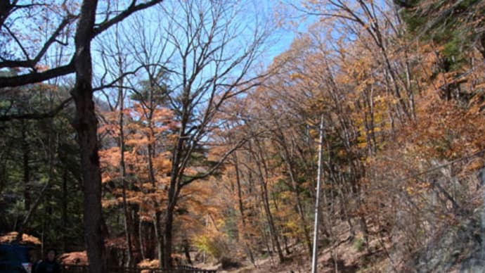 2012年、通仙峡の紅葉