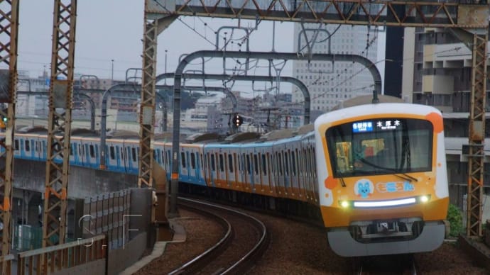 2024年11月5日 小田急小田原線 厚木 5455F もころん号