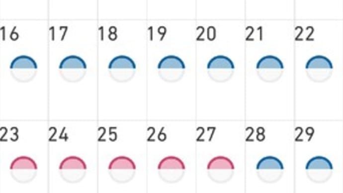 6月と7月の血圧は?