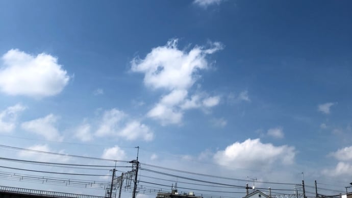 今日の河原の気温は?