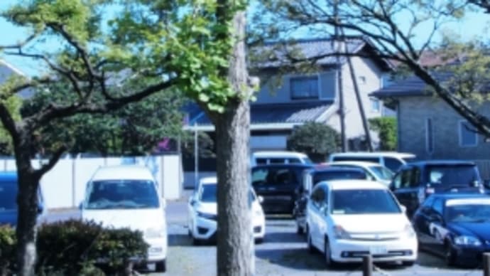 絶対に見てはいけない透き通り