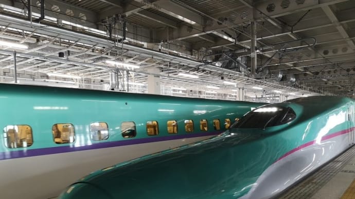 東北巡出張(14)E-5系