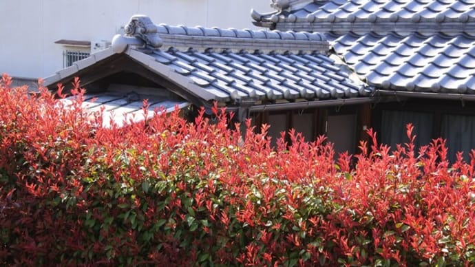 光と影で遊ぶ・・・住吉大社