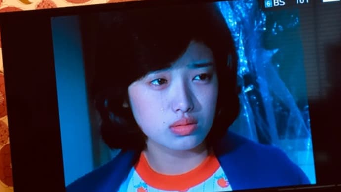 百恵ちゃんが止まらない😅