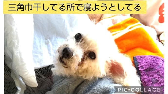 美容室でリフレッシュ