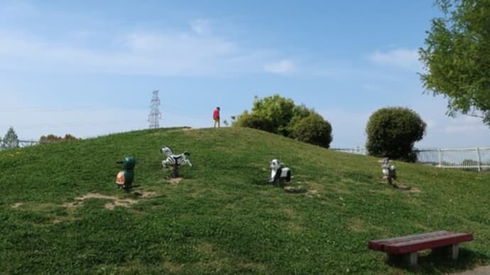 公園動物シチュエーション