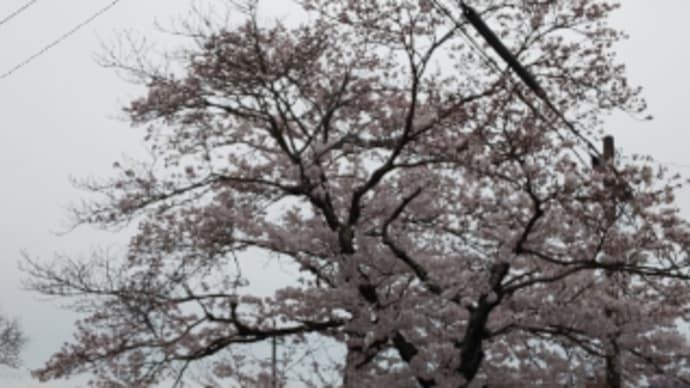 今月の気づき