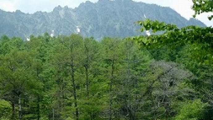 夏の戸隠自然植物園・・・トンボや蝶と遊ぶ